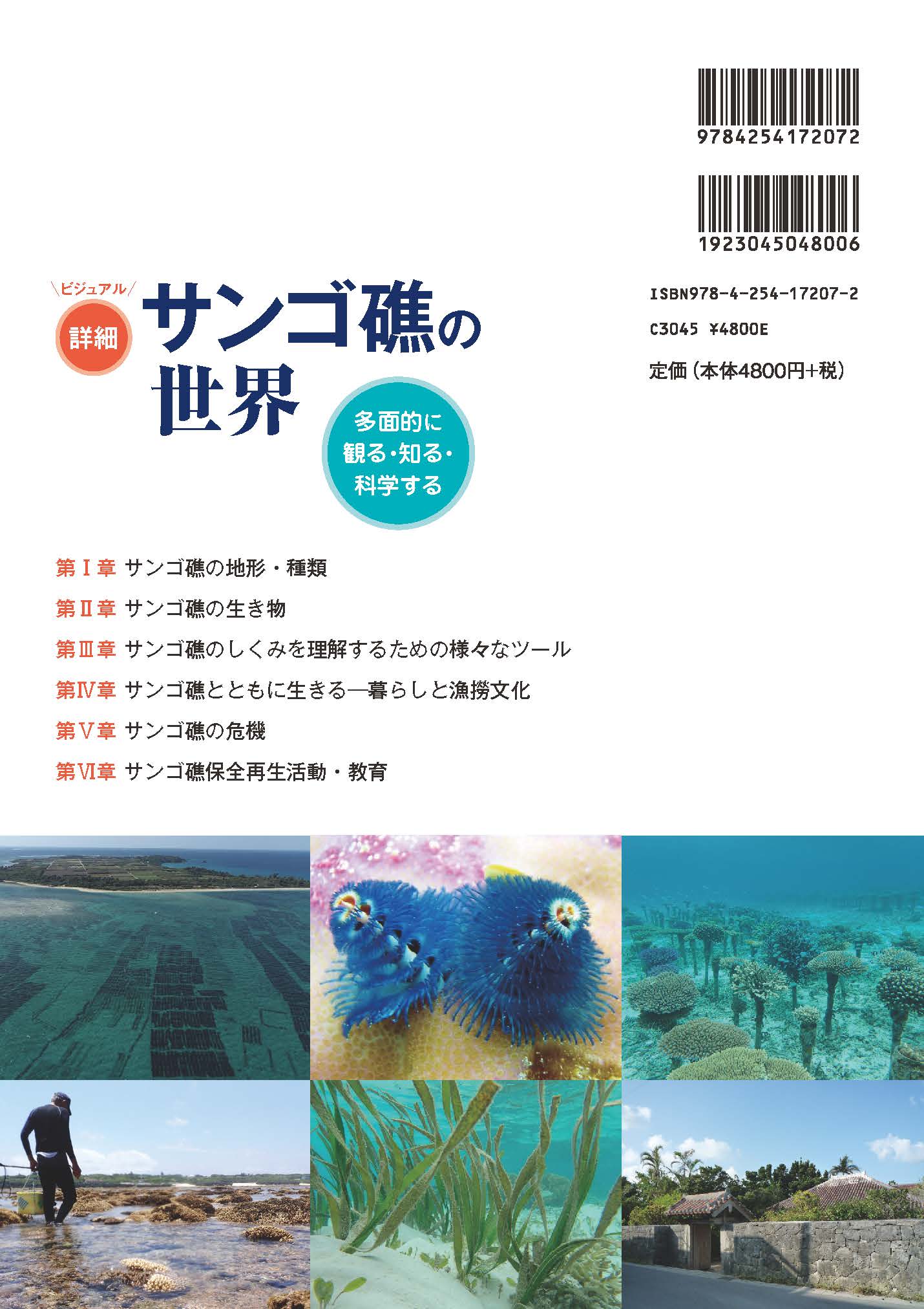 写真 : サンゴ礁の世界 