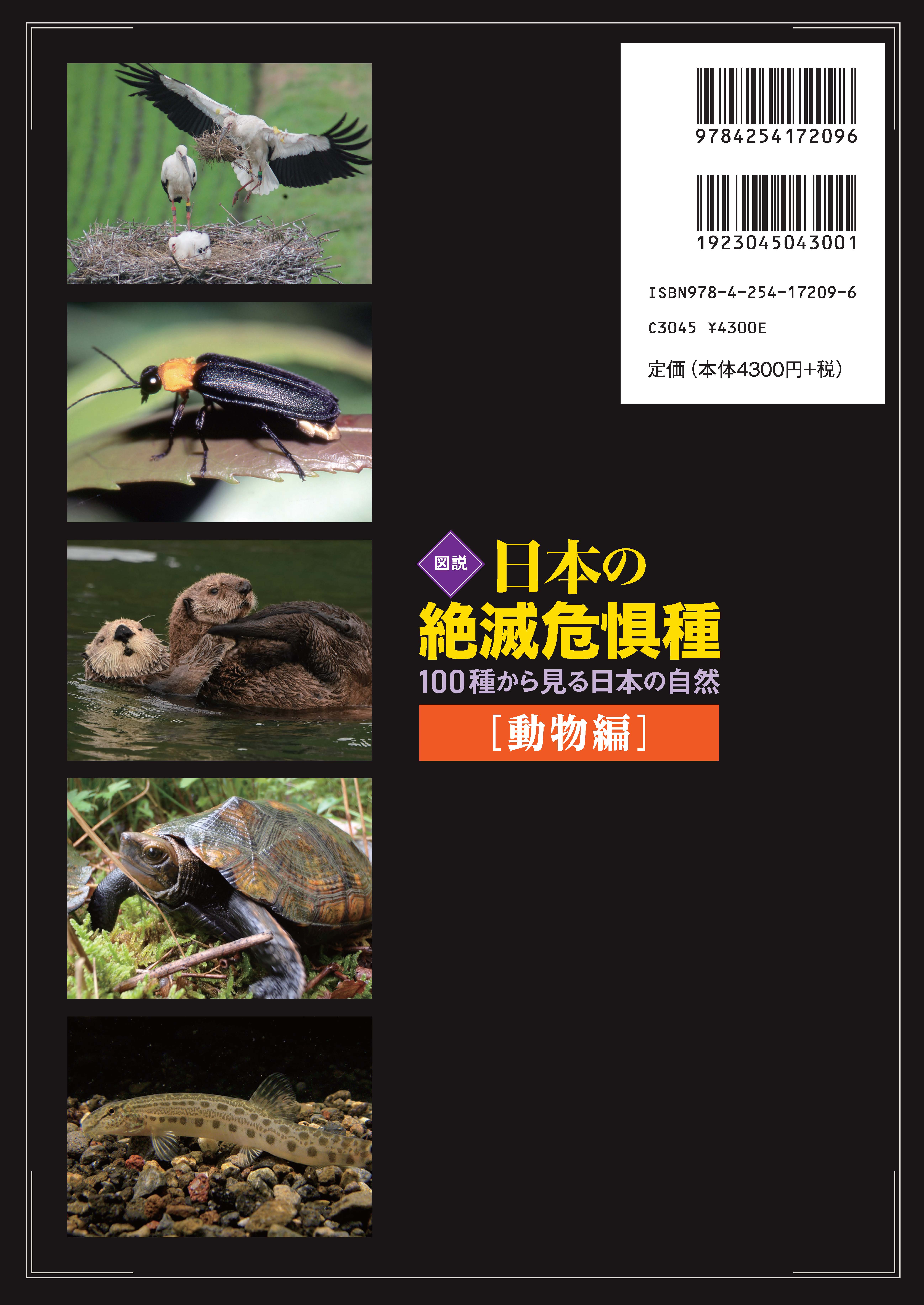 写真 : 図説日本の絶滅危惧種【動物編】 