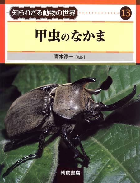 写真：甲虫のなかま