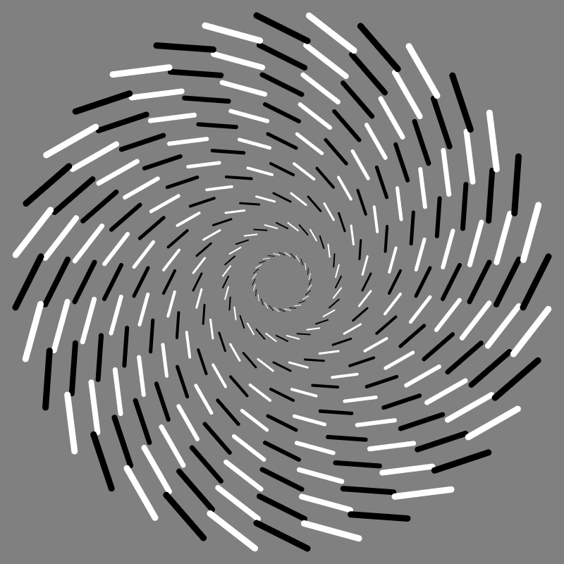 Fraser Spiral Illusion