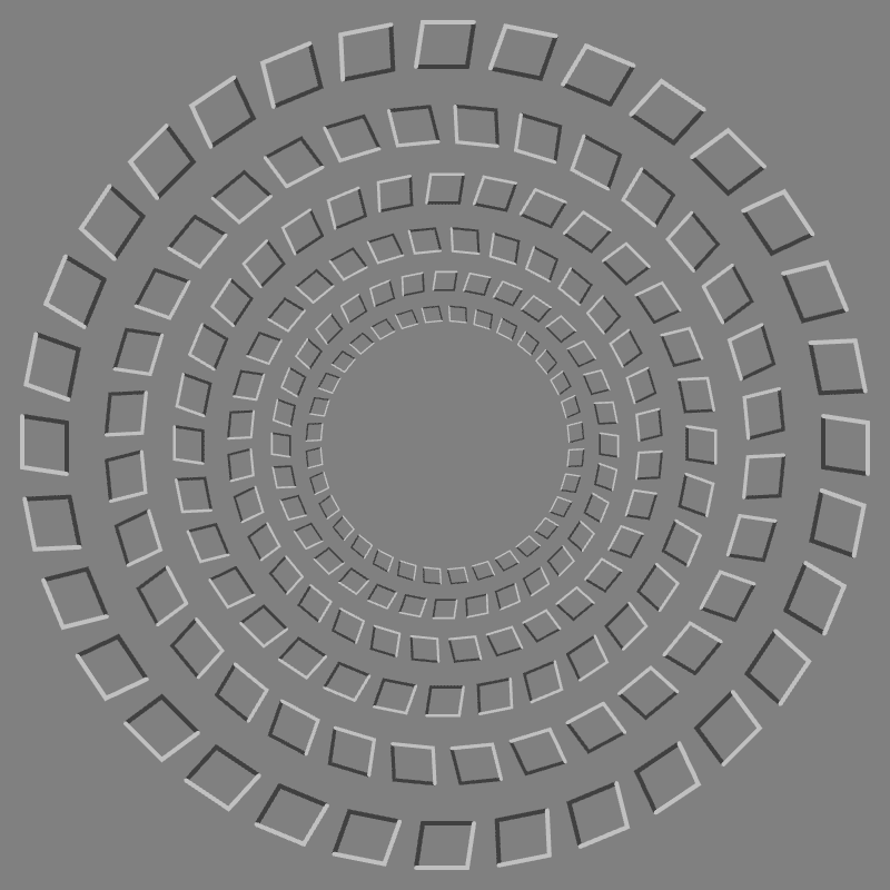 Pinna–Brelstaff Illusion