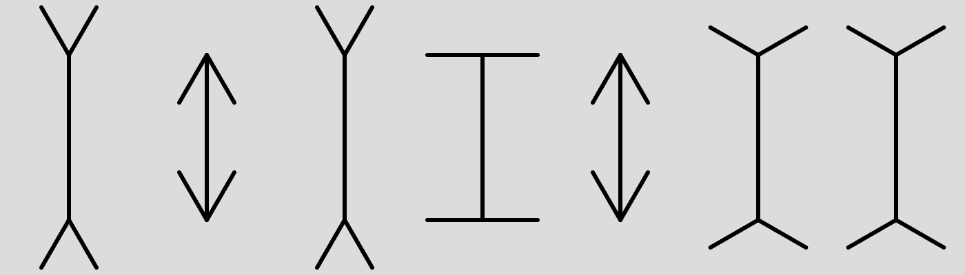 Müller–Lyer Illusion