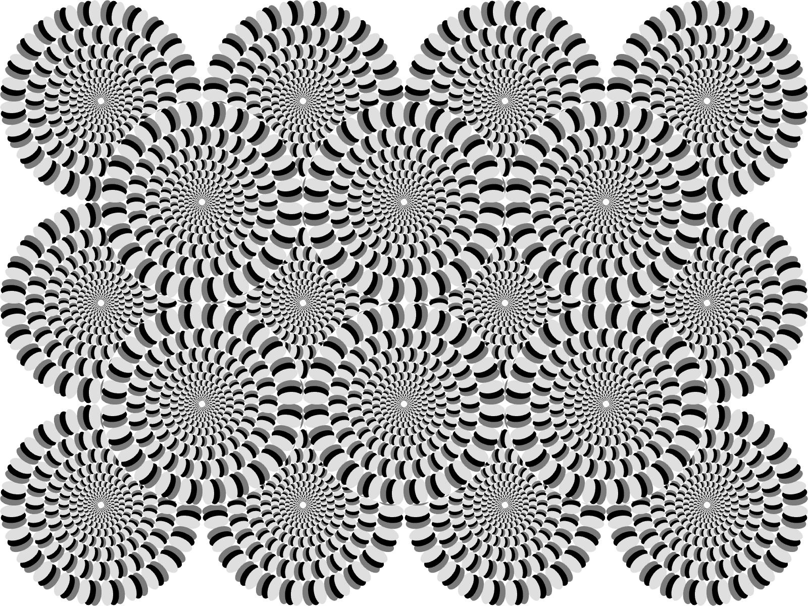 Rotating Snake Illusion